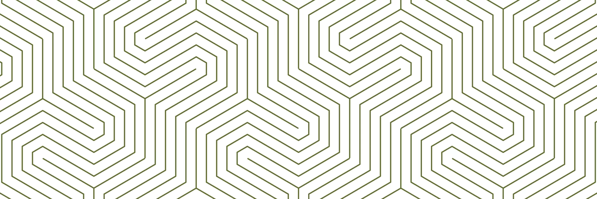 Seamless geometric pattern of thin, light gray lines forming interlocking hexagonal shapes on a white background.