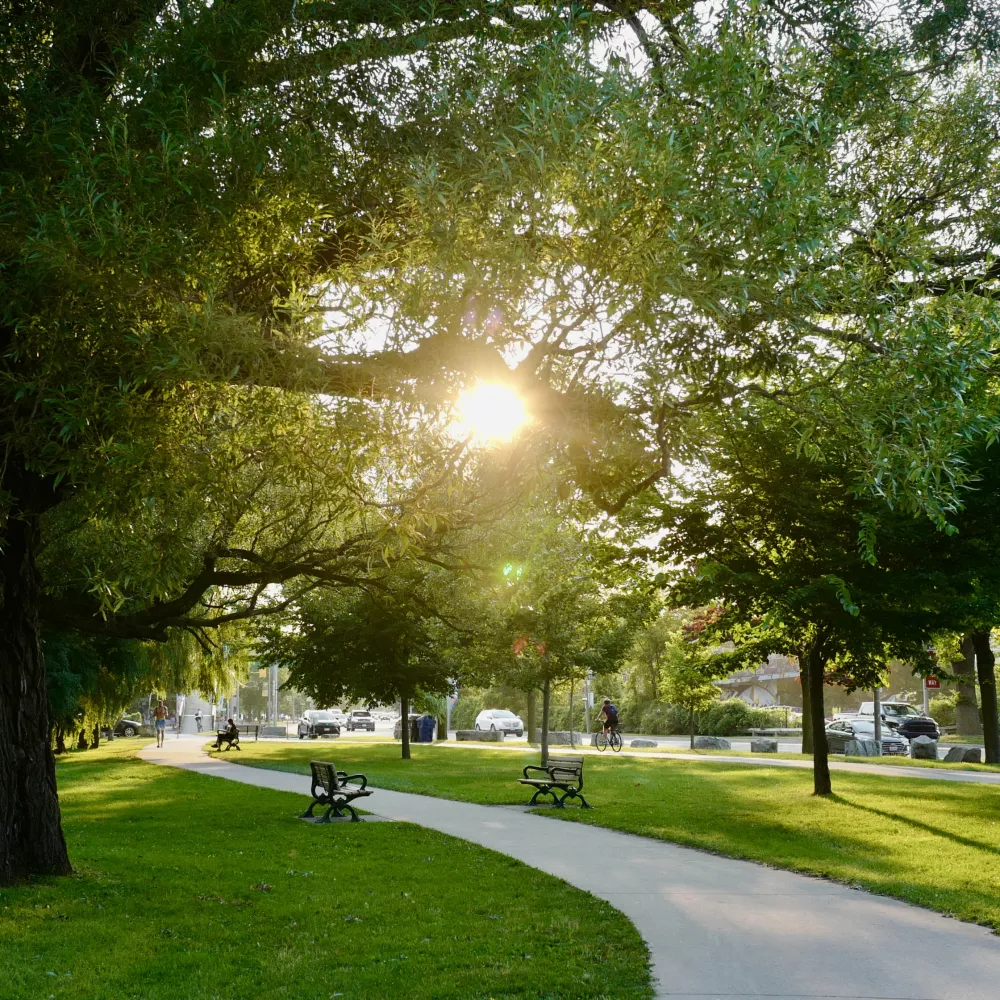 Sunny park path winding through lush green grass and trees, with a bright sunburst through the leaves.